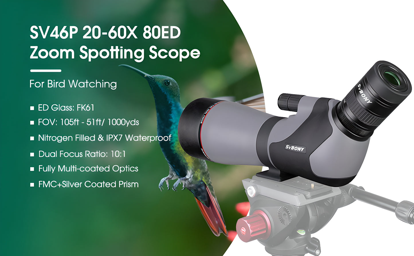 Telescope di Osservazione SV46P 20-60x80 ED - SVBONY