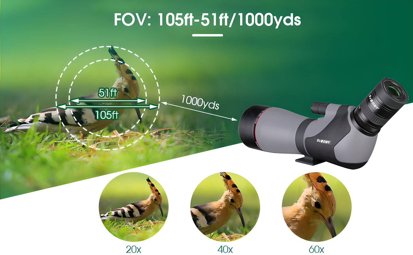 Telescope di Osservazione SV46P 20-60x80 ED - SVBONY