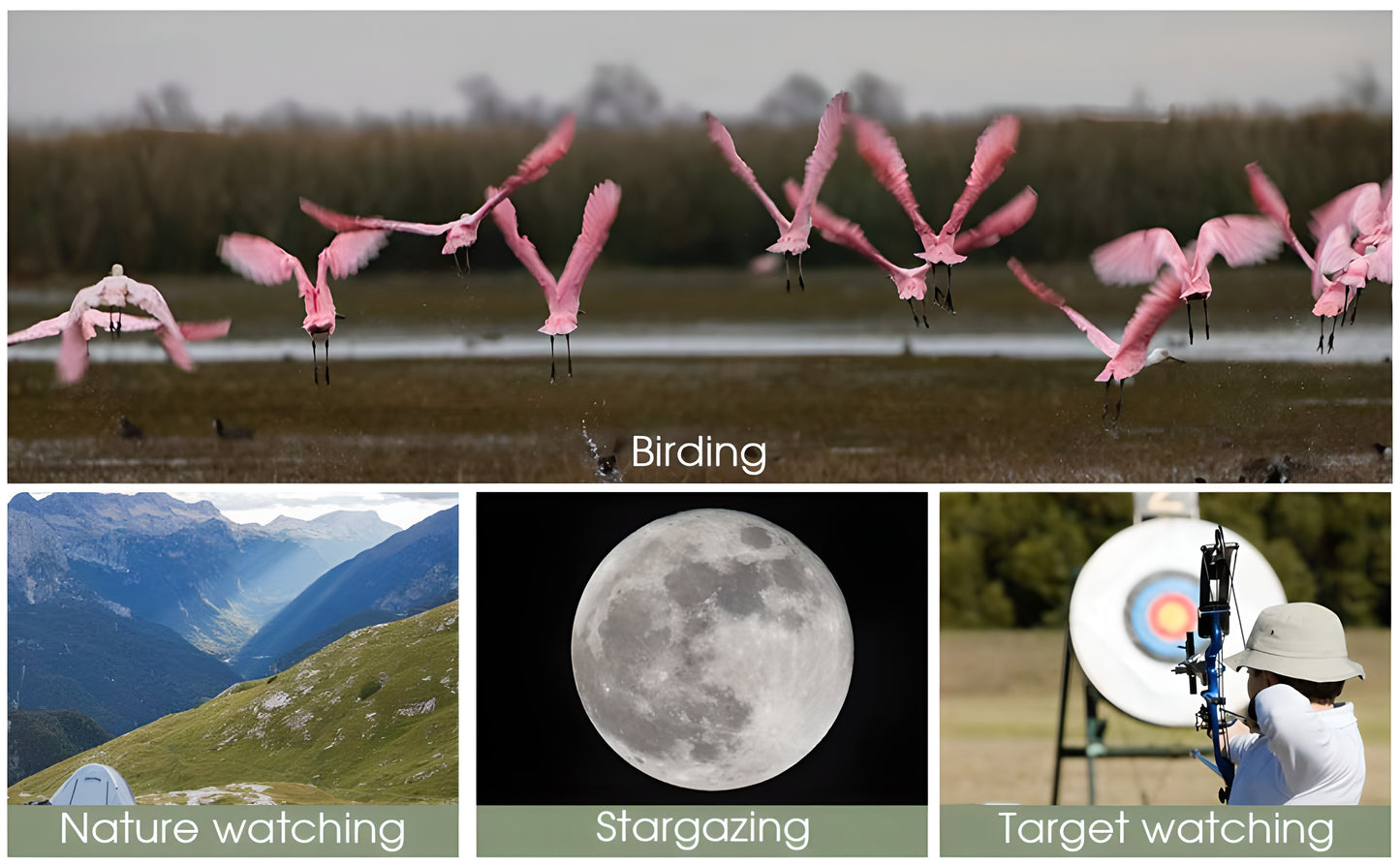SVBONY SA405 20-60x85 ED Spektiv für Tierbeobachtung und Ornithologie - ED-Glas