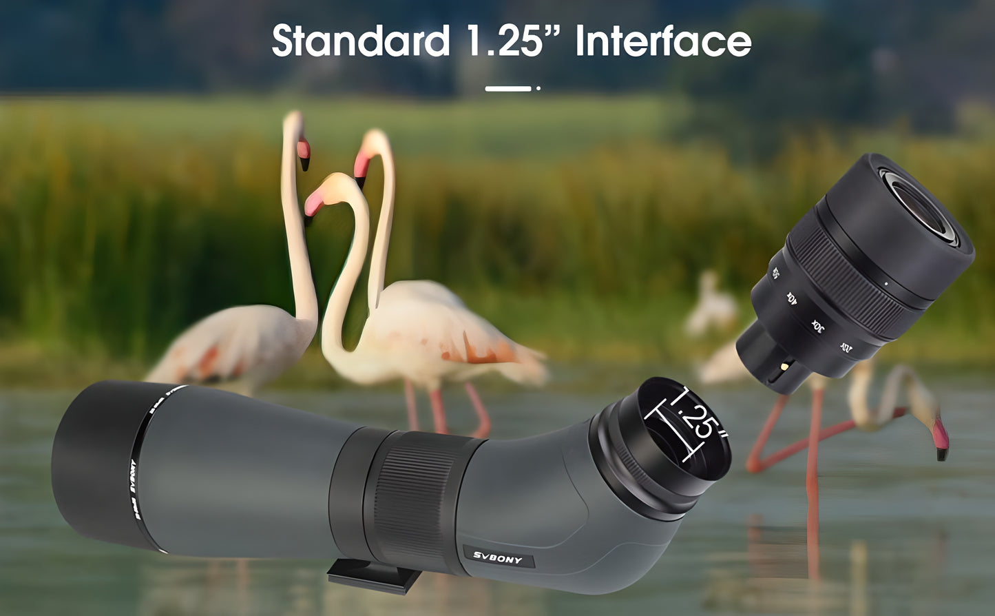 SVBONY SA405 20-60x85 ED Spektiv für Tierbeobachtung und Ornithologie - ED-Glas