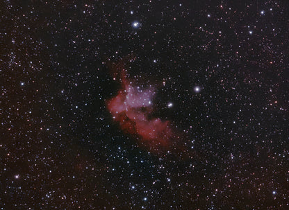 CLS Filter 1.25" - SVBony