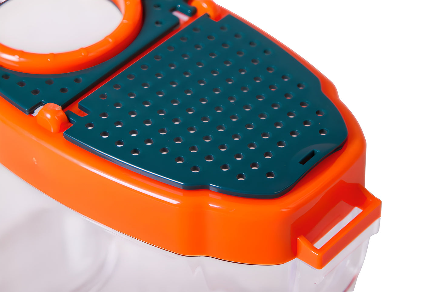 Boîte d'observation pour insectes avec loupe 5x Levenhuk LabZZ C3