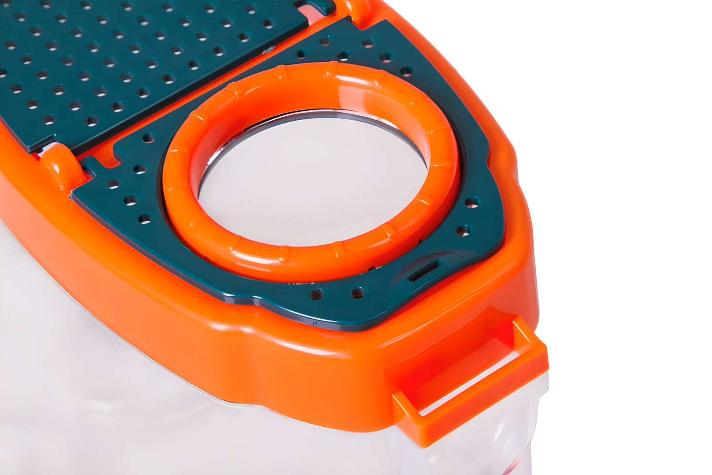 Boîte d'observation pour insectes avec loupe 5x Levenhuk LabZZ C3