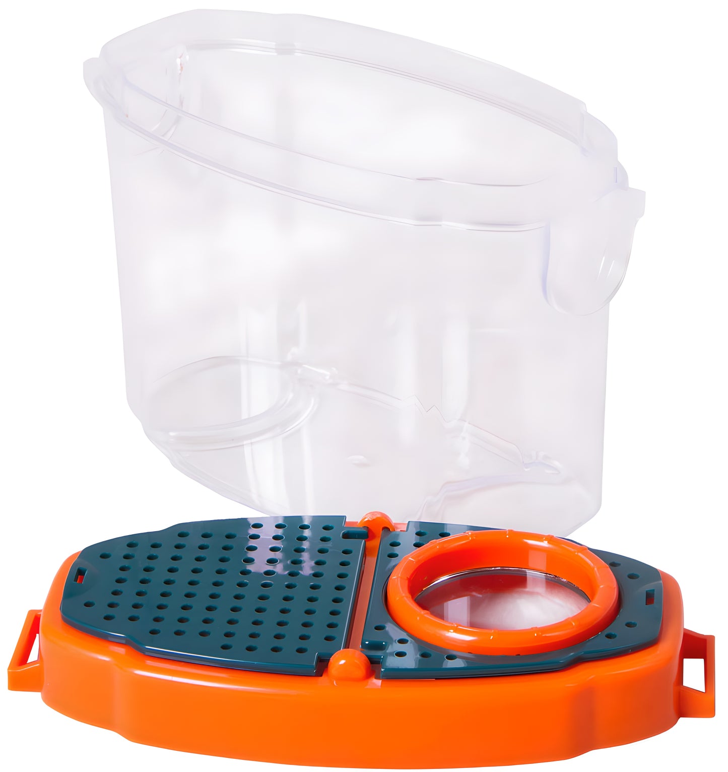 Boîte d'observation pour insectes avec loupe 5x Levenhuk LabZZ C3