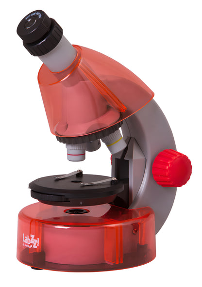 Microscope pour enfants LabZZ M101 40x–640x Levenhuk