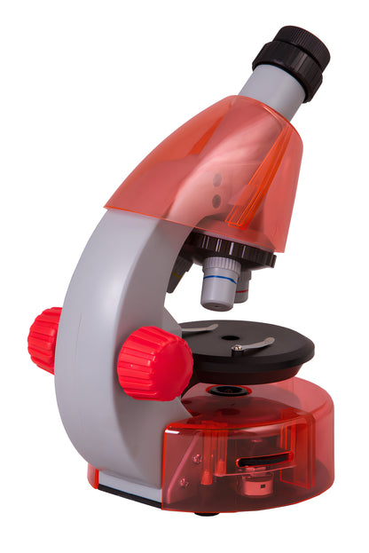 Microscope pour enfants LabZZ M101 40x–640x Levenhuk