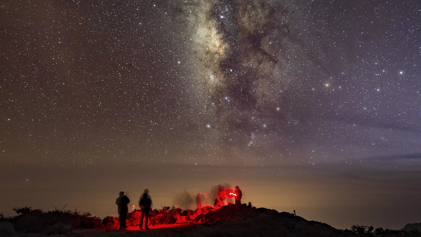 BRESSER StarTracker Astronomical PhotoMount PM-100