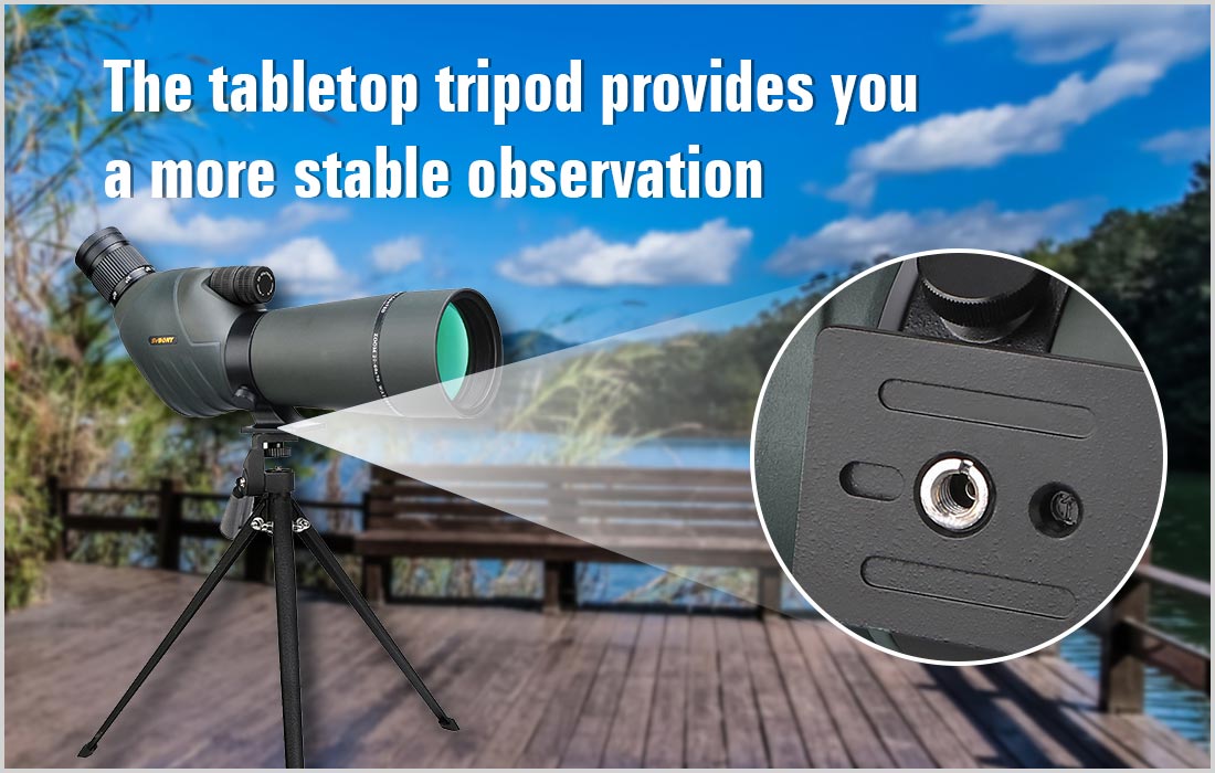 Telescopio terrestre SV411 con potente zoom de 20X a 60X: disponible en 70 mm y 80 mm