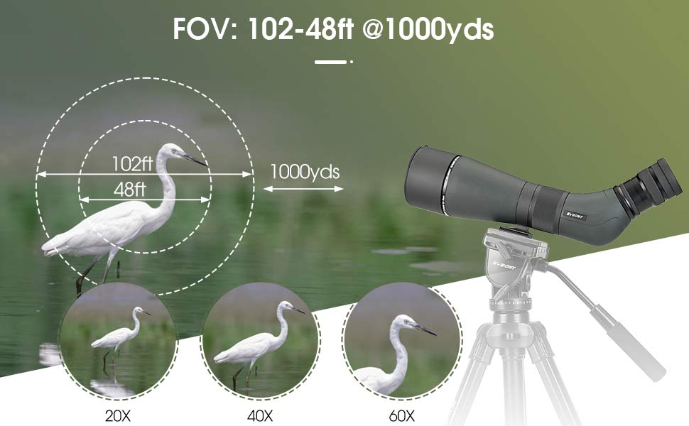 Longue-Vue SVBONY SA405 20-60x85 ED pour Photographie Ornithologique