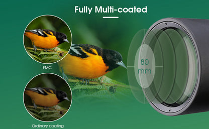 SV46P 20-60x80 ED Observation Telescope - SVBONY