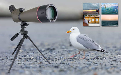 SV13 Optical Spotting Scope 20-60x with Waterproof System - SVBONY