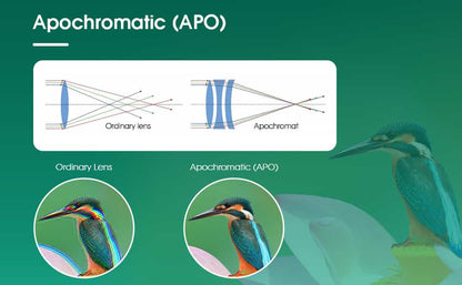 Telescope APO 20-60x85 avec WiFi - Svbony