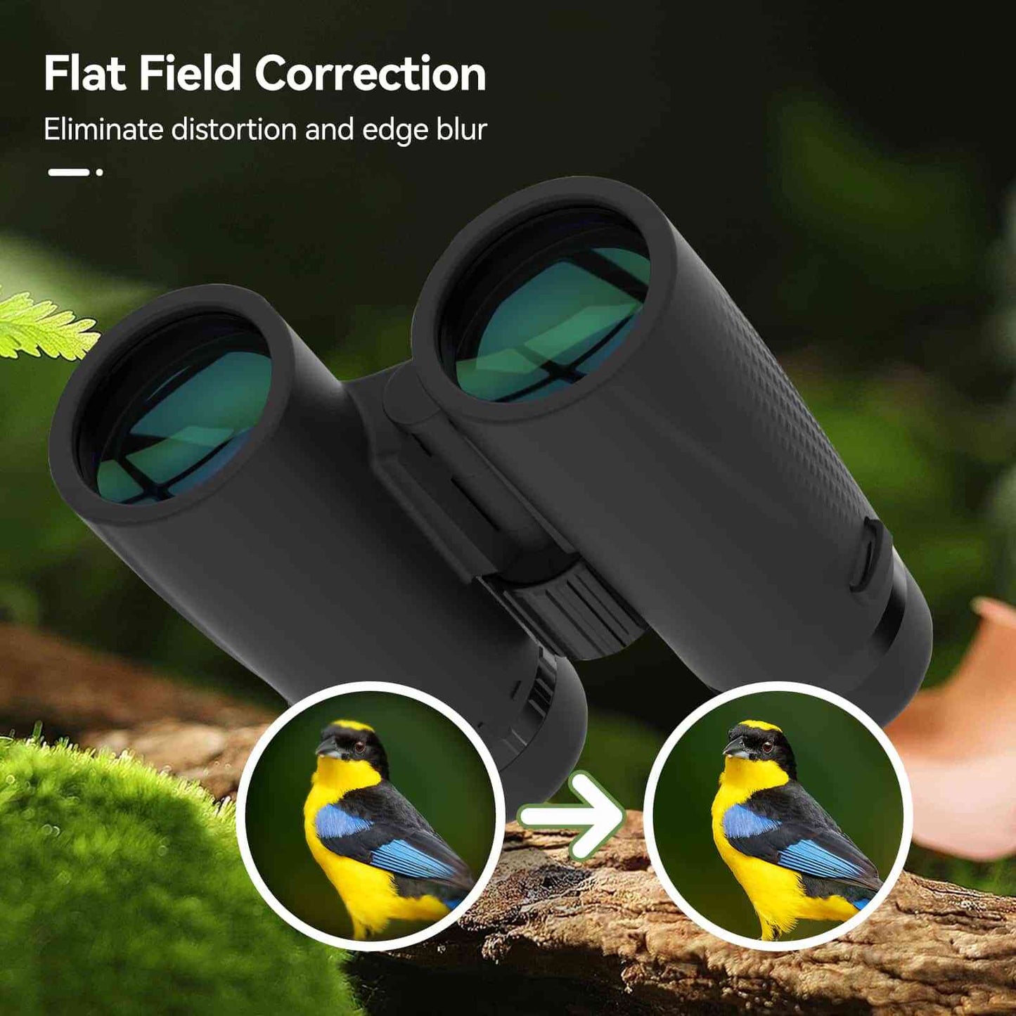 Jumelles 8x42 ED Champ Plat Étanches IP67 avec Prismes BaK-4 - SA205