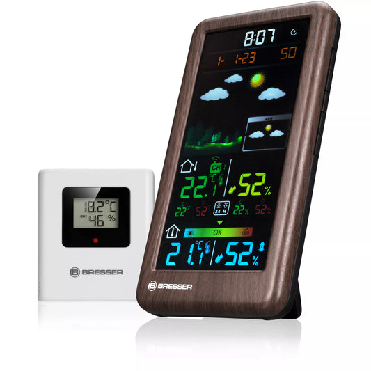 RC Néoméo V wood weather station