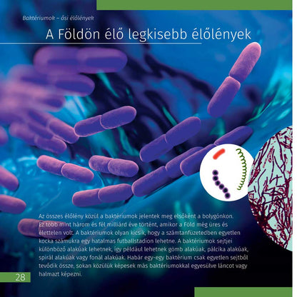 Livre Le Monde Invisible sur le micromonde pour enfants - Levenhuk