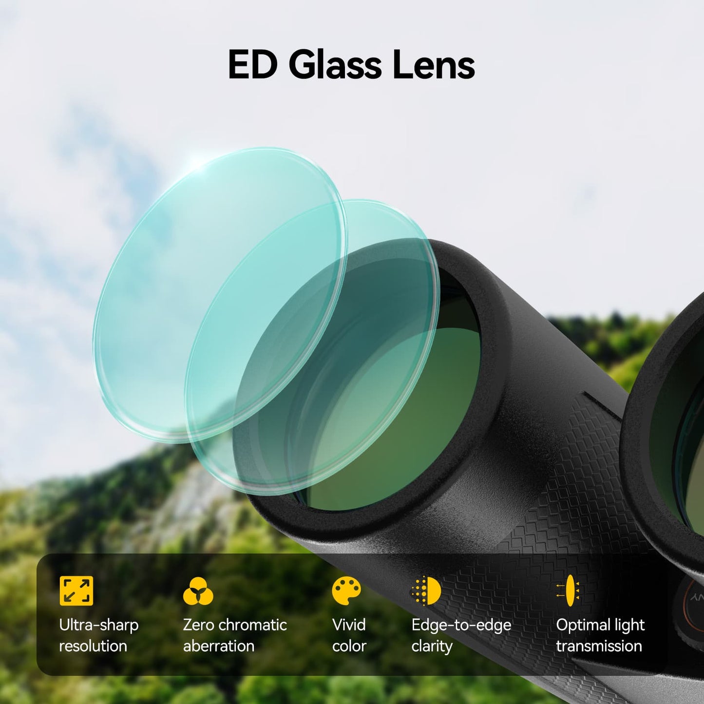 Jumelles SV202 ED 8x32 Étanches IPX7 avec Prismes BaK-4 - SVBONY